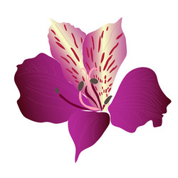 Similar image 755881