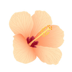 Similar image 755883