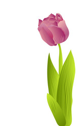 Similar image 755892