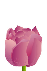 Similar image 755893