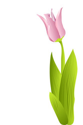 Similar image 755895