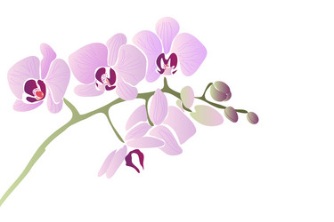 Similar image 755903