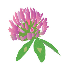 Similar image 755907