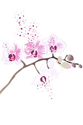 Similar image 755933