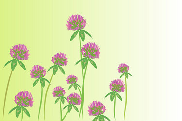 Similar image 755941