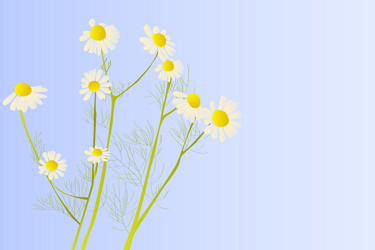 Similar image 755943