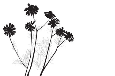 Similar image 755946