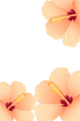 Similar image 755947