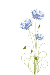 Similar image 755951