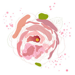 Similar image 755957