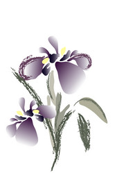 Similar image 755969