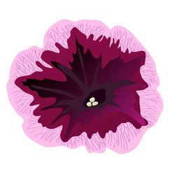 Similar image 756100