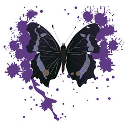 Similar image 756106