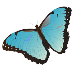 Similar image 756116