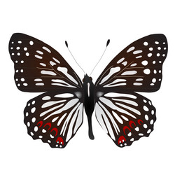 Similar image 756117