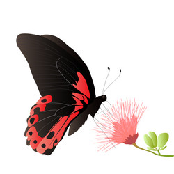 Similar image 756125