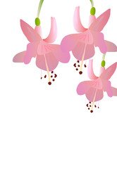 Similar image 756163