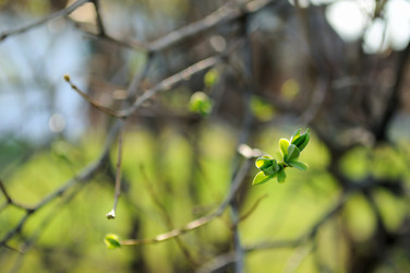 Similar image 756195