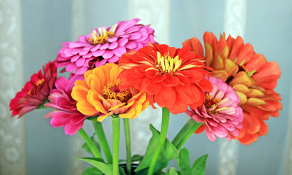 Similar image 756222