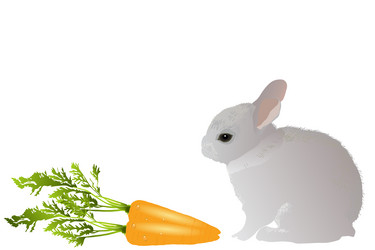 Similar image 756224