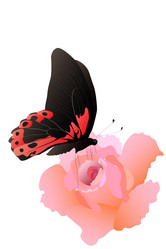 Similar image 756295