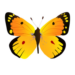 Similar image 756302