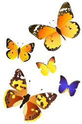 Similar image 756314