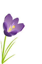 Similar image 756352