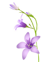 Similar image 756355