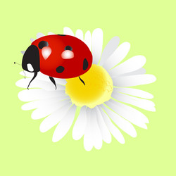 Similar image 756370