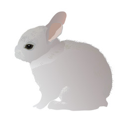 Similar image 756375