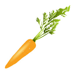 Similar image 756376