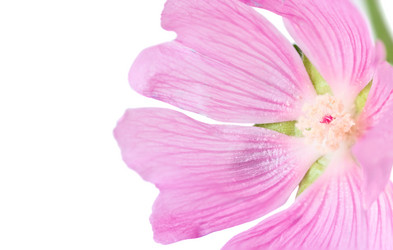 Similar image 756388