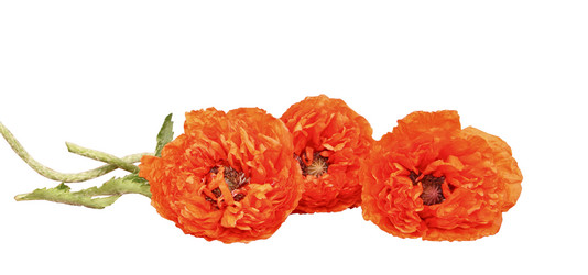 Similar image 756430