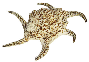 Similar image 756431