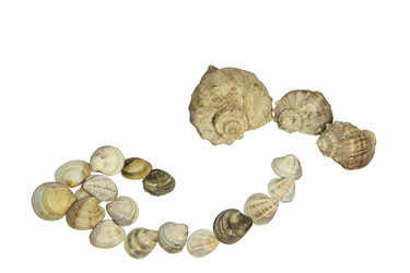 Similar image 756432