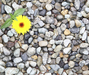 Similar image 756434