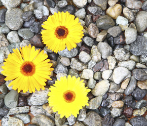 Similar image 756435