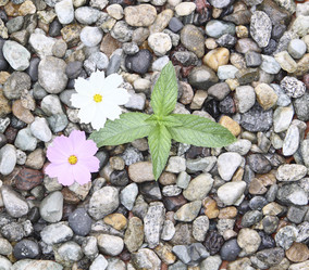 Similar image 756437