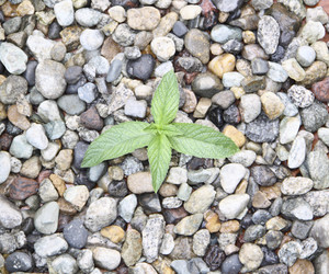 Similar image 756438