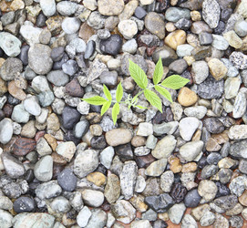 Similar image 756439