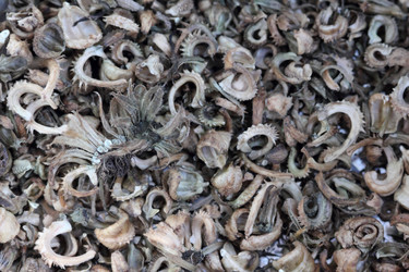 Similar image 756655