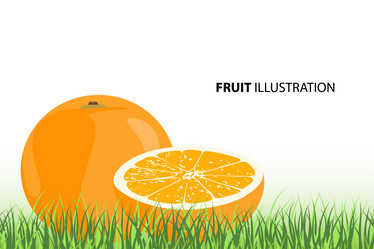 Similar image 756829