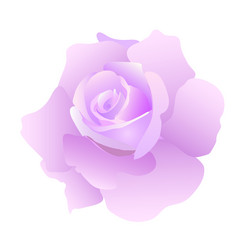 Similar image 756917