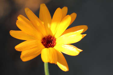 Similar image 756970