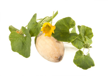 Similar image 757029