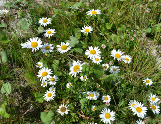 Similar image 757057