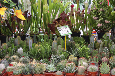 Similar image 757371