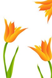 Similar image 757474