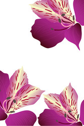 Similar image 757596